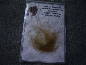 Mammut Haare #1