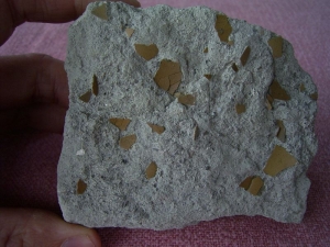 Vogel Eierschalen auf Matrix #1