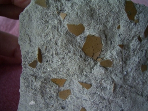 Vogel Eierschalen auf Matrix #1