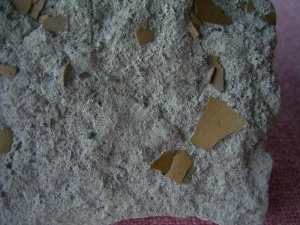 Vogel Eierschalen auf Matrix #1