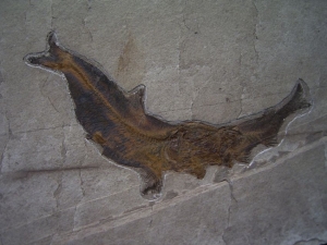 Fisch frisst Fisch # 4