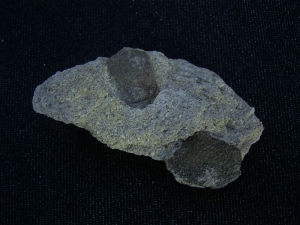 Dino Eierschalen von Megaoolithus aureliensis auf Matrix