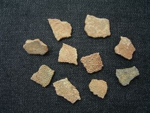 Dino-Eierschalen von Hypselosaurus # 1