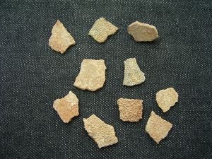 Dino-Eierschalen von Hypselosaurus # 2