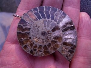 Schmuckstück Pyrit-Ammonit mit Aufhänger