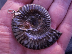 Schmuckstück Pyrit-Ammonit mit Aufhänger