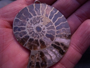 Schmuckstück Pyrit-Ammonit mit Aufhänger