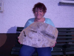 Discosauriscus, drei auf einer Platte