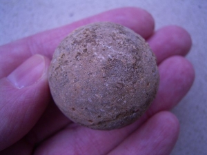 Schildkröten Ei aus Madagaskar