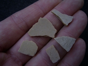 Vogel Eierschalen Lanzarote