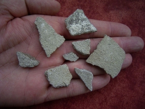 Saltasaurus Eierschalen # 2