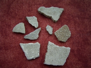 Saltasaurus Eierschalen # 2