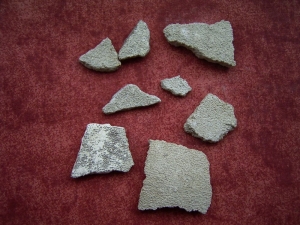 Saltasaurus Eierschalen # 2