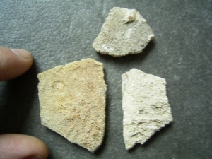 Dino-Eierschalen von Saltasaurus