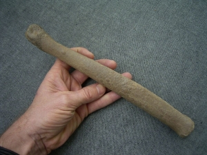 Rothirsch Mittelhandknochen
