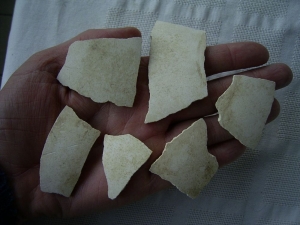 Elefantenvogel - Eierschalen, sechs Stück, Aepyornis maximus #2