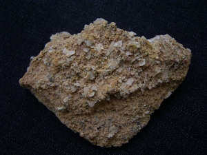 Vogel Eierschalen auf Matrix