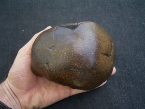 Homo Mojokertensis, Kinderschädel aus Java