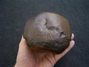 Homo Mojokertensis, Kinderschädel aus Java