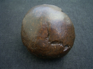 Homo Mojokertensis, Kinderschädel aus Java