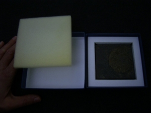 Dactyloceras in Geschenkbox