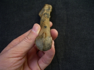 Höhlen Löwe Fingerknochen