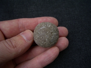 Schildkröten Ei aus Magagascar # 2