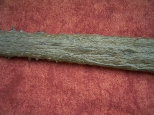 Krokodilschädel mit Unterkiefer aus Holzmaden