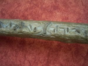 Krokodilschädel mit Unterkiefer aus Holzmaden