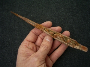 Haistachel Hybodus