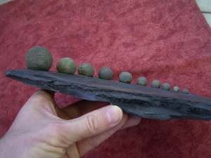 Ammonit Dactyloceras mit Pyritkugeln