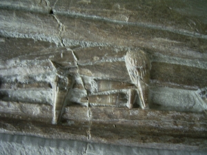 Eurhinosaurus Schädel