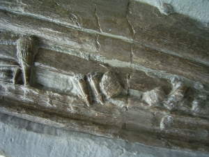 Eurhinosaurus Schädel