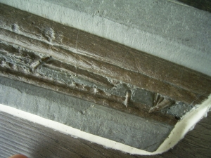 Eurhinosaurus Schädel