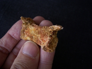 Pterosaur vertebra # 1