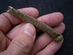 Höhlen Hyäne Mittelhandknochen - pleistozäner Höhlenfund