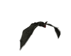 Höhlensediment aus dem Miozän mit Fledermaus- und Nagerknochen
