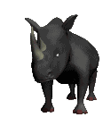Wollhaar-Nashorn Fußknochen Coelodonta antiquitatis # 2