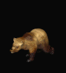 Wirbel vom Höhlenbär Ursus spelaeus