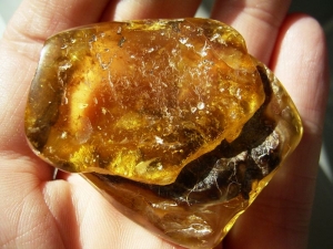 Blindschleiche in Kopal