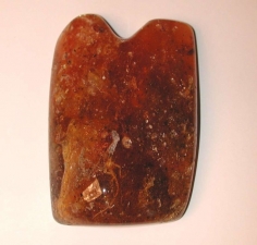 Leguan Anolis in Kopal