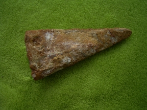 Spinosaurus Kralle