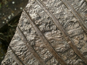 Ichthyosaurier Muttertier mit mehreren Embryonen im Bauch