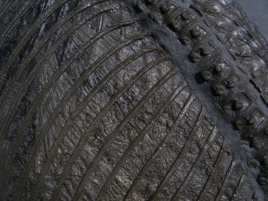 Ichthyosaurier Muttertier mit mehreren Embryonen im Bauch