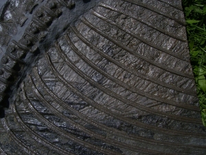 Ichthyosaurier Muttertier mit mehreren Embryonen im Bauch