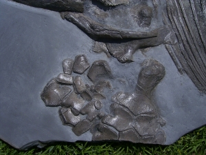 Ichthyosaurier Muttertier mit mehreren Embryonen im Bauch