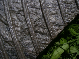 Ichthyosaurier Muttertier mit mehreren Embryonen im Bauch