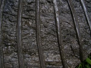 Ichthyosaurier Muttertier mit mehreren Embryonen im Bauch