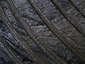 Ichthyosaurier Muttertier mit mehreren Embryonen im Bauch