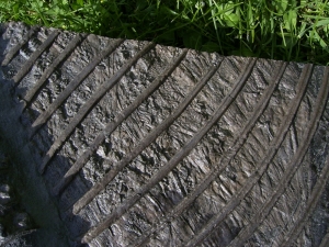 Ichthyosaurier Muttertier mit mehreren Embryonen im Bauch